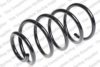 ROC CS7119 Coil Spring